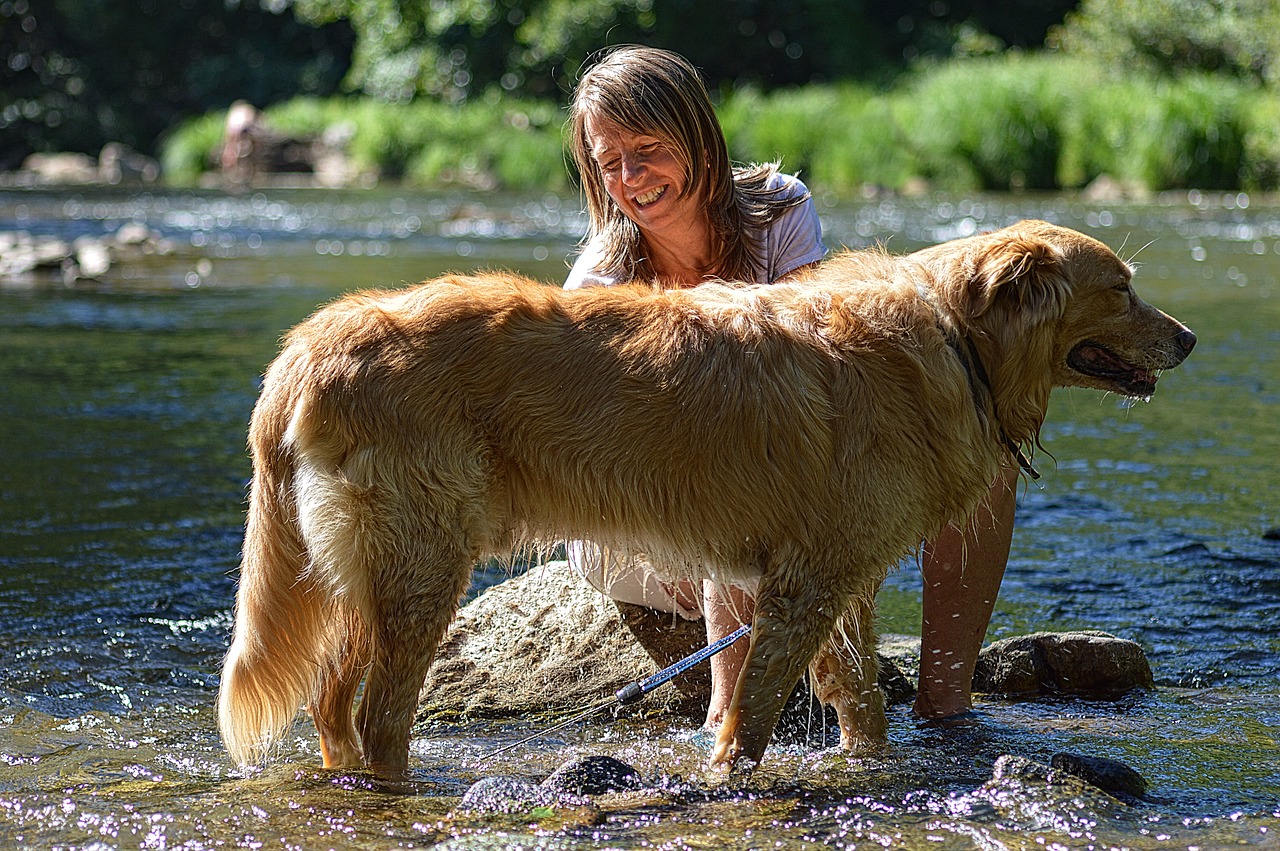 large dog grooming