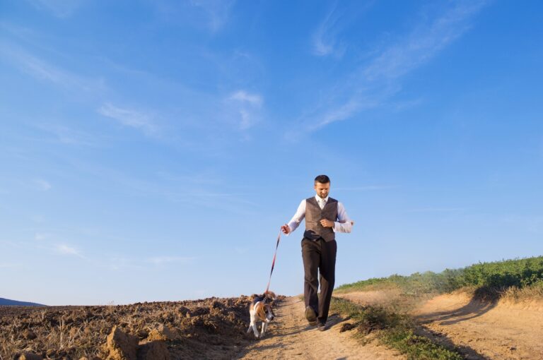 Unleashing the Truth: Do Dog Groomers Offer Dog Walking Services?