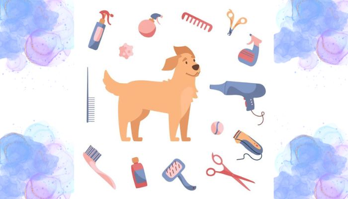 What Services are Included in Mobile Dog Grooming? Discover 13 Essential Solutions!