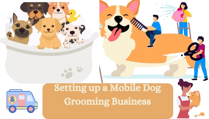 Setting Up a Mobile Dog Grooming Business: All Details!