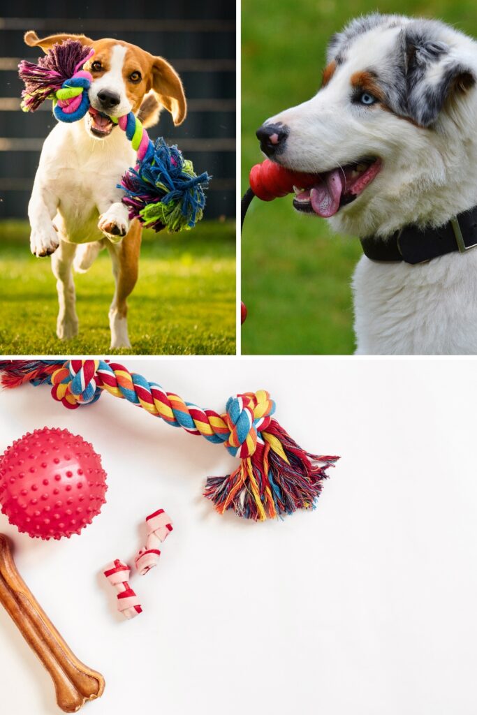 chew dog toys