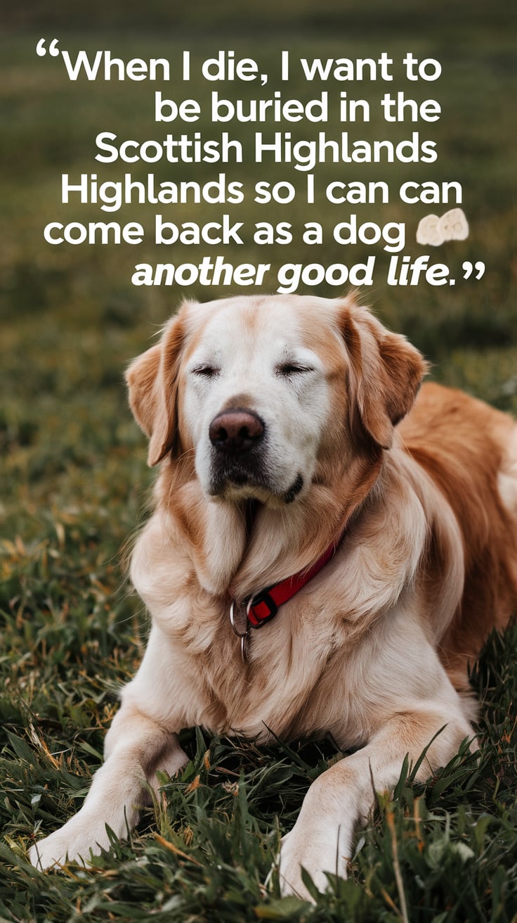 Healing Hearts: 35 Dog Quotes About Death to Ease Your Pain